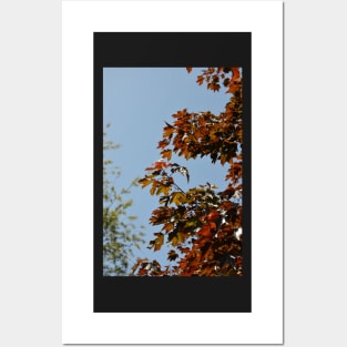 Autumnal Posters and Art